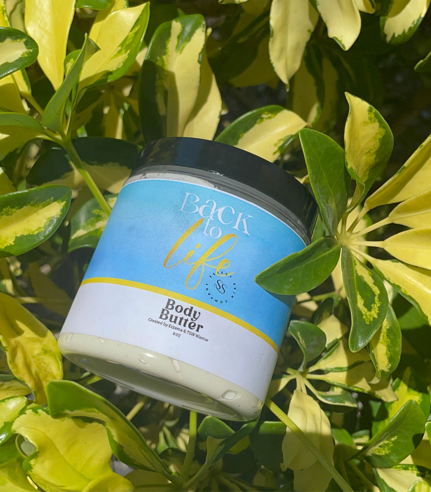 Back to Life Body Butter